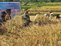 Sekolah Lapangan Tematik Dorong Pertanian Ramah Lingkungan