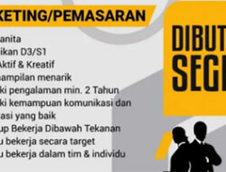 Rumah Kemasan Pilar Sentra Pack Padang Buka Lowongan untuk Posisi Marketing dan Desain Grafis