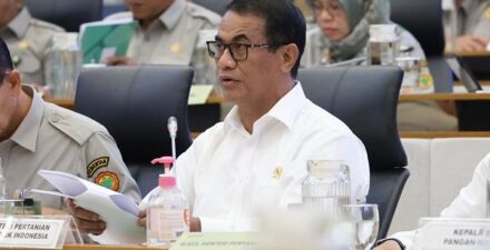 Indonesia Siapkan 15.000 Hektare Lahan di Kalimantan untuk Dukung Palestina