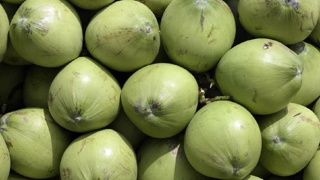Beberapa kelompok orang sangat dianjurkan minum air kelapa.