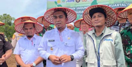Pemko Solok Dorong Ketahanan Pangan Lewat Jagung