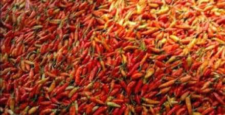 Daging Sapi dan Telur Naik, Minyak Goreng Curah Menguat Tipis