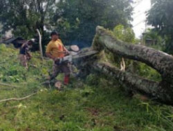 Angin Kencang Sebabkan Gangguan Listrik dan Komunikasi di Padang