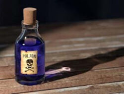 Aksi Ekstrem di TikTok, Minum Racun Usai Fitnah Pacar