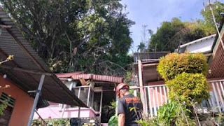 Rumah Warga Tertimpa Pohon Tumbang.