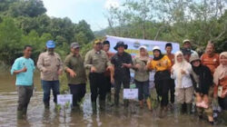 Penanaman mangrove oleh KKI Warsi di Sungai Pinang