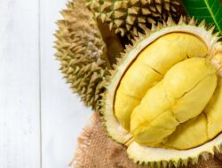 6 Makanan yang Sebaiknya Tidak Dikonsumsi Bersamaan dengan Durian