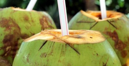 Jangan Sembarangan Minum Air Kelapa, Ini Risiko untuk Orang Tertentu