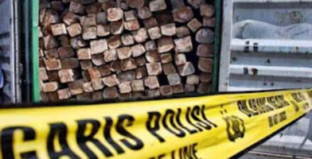 BKSDA dan Polsek Amankan 148 Batang Kayu Diduga Hasil Illegal Logging di Cagar Alam Maninjau