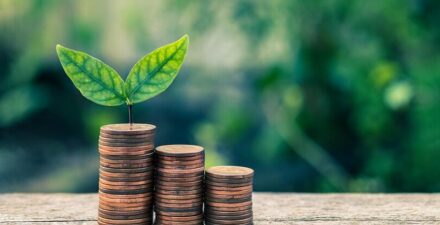 Nestlé Percepat Pengembangan Energi Terbarukan untuk Dukung Target Emisi 2030