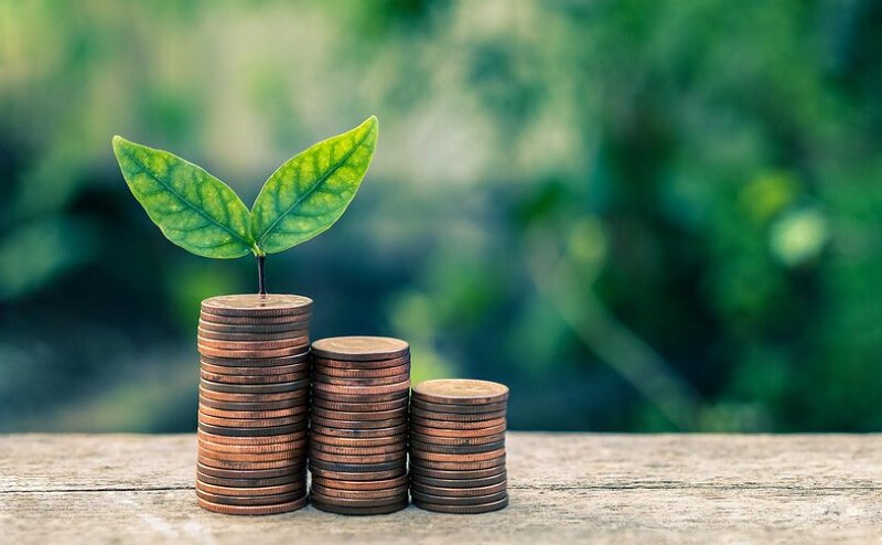 Pengurangan emisi karbon sebesar 50% pada 2030 mendorong percepatan berbagai upaya pengelolaan energi terbarukan.