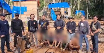 Polres Pelalawan mengamankan 6 pelaku.