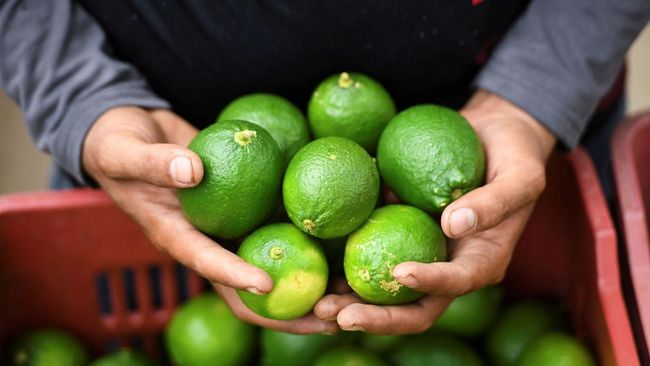 Jeruk nipis dan lemon punya perbedaan yang cukup mencolok.