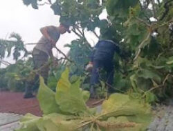Hujan Deras dan Angin Kencang Rusak Atap Rumah Warga