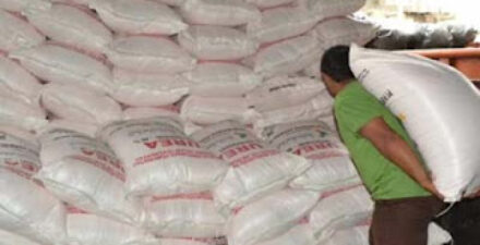 Realisasi Pupuk Bersubsidi Sumbar Capai 81 Persen untuk NPK