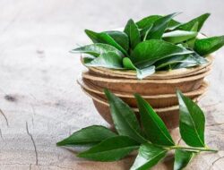 Cara Alami Menurunkan Gula Darah dengan Air Rebusan dari Tanaman Herbal