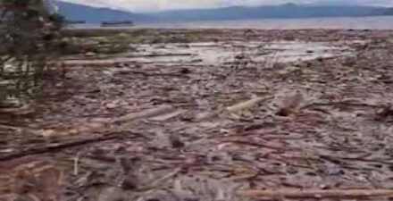 Air Danau Singkarak Naik Usai Banjir Bandang, Sawah Warga Mulai Tergenang