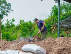 Bioenergi Jadi Pilar Ketahanan Energi Nasional Menuju NZE 2060