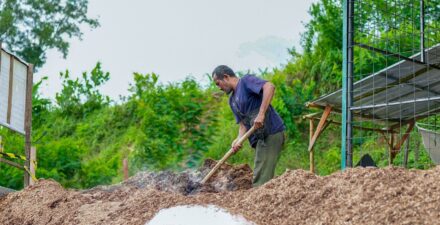 RI Punya Harta Karun Bioenergi, Jadi Pilar Ketahanan Energi.