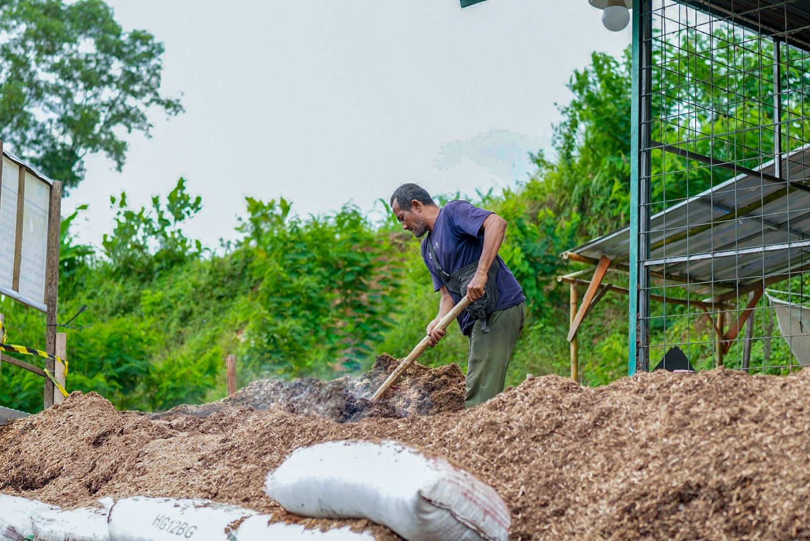 RI Punya Harta Karun Bioenergi, Jadi Pilar Ketahanan Energi.