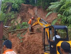 BPBD Evakuasi Pohon Roboh Akibat Hujan Lebat