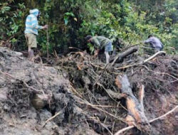 Hujan Deras Picu Banjir dan Longsor di Kali Panpan, Papua Pegunungan
