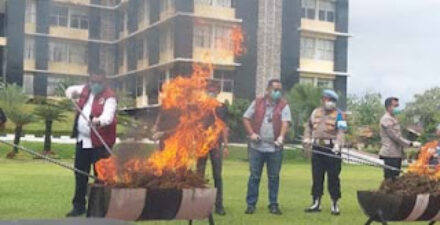 Empat Tersangka Jaringan Ganja Lintas Daerah Ditangkap