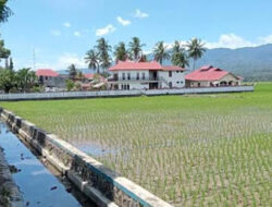 DPRD Kota Solok Diminta Tanggapi Krisis Irigasi Sawah Padang Lindang