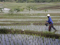 Transformasi Pupuk Indonesia Jadi Penopang Ketahanan Pangan