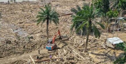 Jejak Kayu Liar Muncul saat Banjir, Polri dan Kementerian Kehutanan Bentuk Tim Gabungan