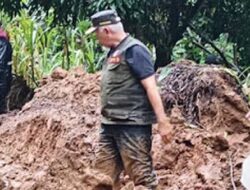 Relokasi Warga Terdampak Bencana di Sumbar Gunakan Lahan BUMN dan Tanah Negara