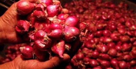 Harga bawang melonjak