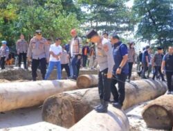Muatan Kayu 4.800 Kubik dari Sumbar Terdampar, Penyelidikan Berlangsung