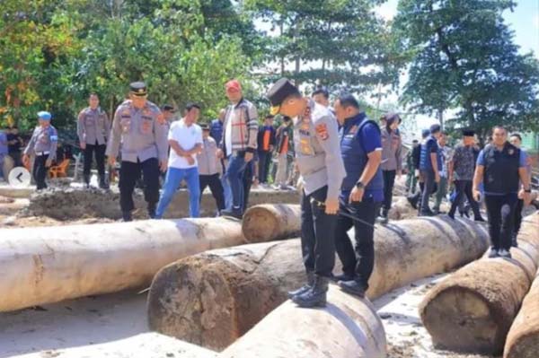 Kapolda Lampung Irjen Pol Helfi Assegaf saat meninjau ribuan kayu gelondongan terdampar