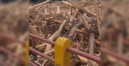 DPR Soroti Kayu Gelondongan Terseret Banjir Sumut, Komisi IV Dorong Investigasi