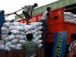 Harga Beras Alami Deflasi di Akhir 2025, Indikasi Sistem Pangan Membaik