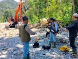 Warga Bancah Laporkan Kemunculan Beruang Madu ke BKSDA Sumbar