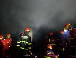 Dua Toko Ludes Terbakar di Tanah Sirah, Kerugian Capai Rp1,5 Miliar