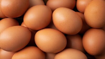 Stok Telur Nasional Aman, Kebutuhan hingga Lebaran 2026 Dipastikan Tercukupi