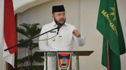 Wali Kota Padang, Fadly Amran