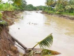 Pemko Pariaman Tinjau Lokasi Abrasi Sungai Batang Mangor
