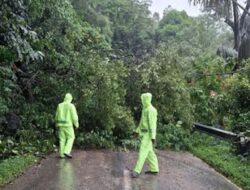 Speedboat Jadi Solusi Distribusi Logistik Akibat Jalan Rusak di Maninjau