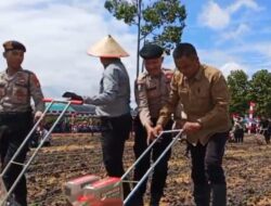 Sekda Kapuas dan Plt Kadistan Turun ke Sawah, Dorong Alat Tanam Jagung di Sei. Asam
