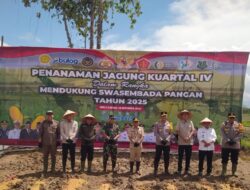 Dukung Swasembada Pangan 2025, Jagung Kuartal IV Ditanam di Desa Sei Asam