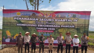 Dukung Swasembada Pangan 2025, Jagung Kuartal IV Ditanam di Desa Sei Asam