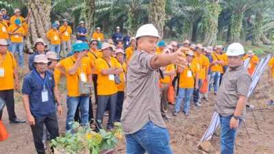 Petani Sawit Batubara Dapat ‘Sekolah Lapangan’ dari PT Socfindo Tanah Gambus
