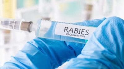 Dinas Kesehatan Imbau Vaksinasi Hewan Peliharaan Segera