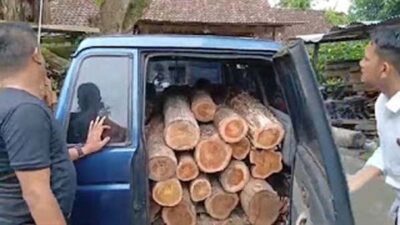 Satreskrim Polres Ngawi bersama Polhut mengungkap kasus illegal logging