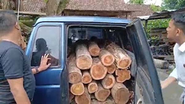 Satreskrim Polres Ngawi bersama Polhut mengungkap kasus illegal logging