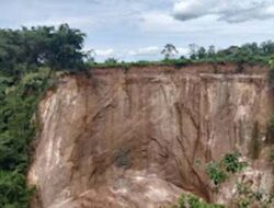 Tebing Ngarai Sianok Longsor, Tidak Ada Korban Jiwa namun Sawah Warga Terkikis